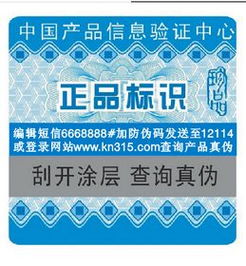信息系統集成服務 構建智慧未來的橋梁